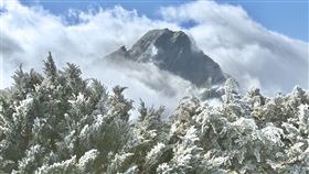 冷氣團來襲玉山成一片銀白世界，氣象署分享稍早短暫雲開美景。（圖／氣象署提供）