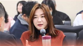 馬文君二堅持潛艦預算全刪，如果符合作戰需求時再編，引發議論。（圖／翻攝自馬文君臉書）