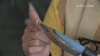 獨／取烏金靠它！特製殺烏刀增銅珠護卵