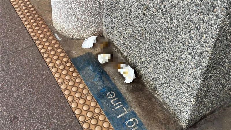 月台驚見「大坨糞便」！老婦拉完搭車跑了