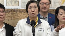 ▲立院內政委員會排審選罷法引爆藍綠衝突，召委徐欣瑩宣布休息後於委員會外受訪（圖／記者陳怡潔攝影）