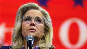 麗茲‧錢尼。（圖／路透社／達志影像）