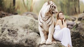 護理師,白虎,出軌,麻醉醫師,嘉義