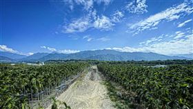 內埔鄉,龍泉村,屏東縣,微品碧山硯