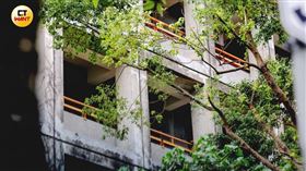 沒跟校長打招呼遭罵　代理師自殘被迫人流