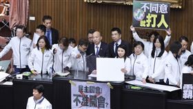 立法院、議場、衝突、民進黨團、國民黨團、青鳥（圖／記者鄭孟晃攝影）