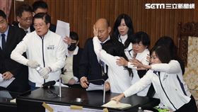 立法院、議場、衝突、民進黨團、國民黨團、青鳥（圖／記者鄭孟晃攝影）