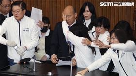 立法院、議場、衝突、民進黨團、國民黨團、青鳥（圖／記者鄭孟晃攝影）