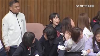 陳玉珍衝撞、勒脖攻擊　綠委控訴：被糟蹋