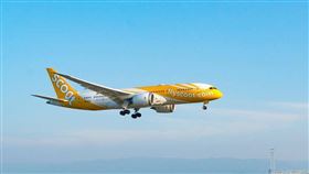 圖／翻攝自酷航臉書