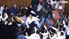 立法院、議場、衝突、民進黨團、國民黨團、青鳥（圖／記者鄭孟晃攝影）