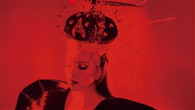 張惠妹（圖／聲動娛樂提供）