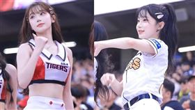 南韓,啦啦隊,李珠珢,三振舞,經紀公司,APEX,台灣節目,簽約,2S Spotainment,黃承賢