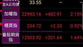 股市頻道／台股絕地大反攻！開盤暴漲400點　台積電狂衝　linepay續跌

(圖／翻攝自台新PhoneEZ)