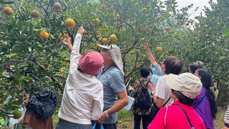 酒莊品酒微醺輕旅行　免到歐洲來台中農遊