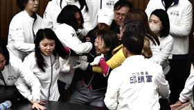 立法院、議場、衝突、民進黨團、國民黨團、青鳥（圖／記者鄭孟晃攝影）