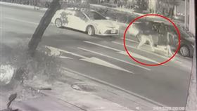 不滿白牌車閃燈，超車，莽男逼車，拿武士刀砍乘客，台中，文心路一段，巡邏警當街制伏(圖／翻攝畫面)