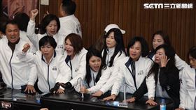 立法院、議場、衝突、民進黨團、國民黨團、青鳥（圖／記者鄭孟晃攝影）