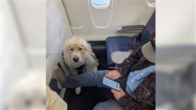 美國一名男網友在網路上發文抱怨，指出他搭乘達美航空被意外升到頭等艙，結果15分鐘後，卻又被降級到比他原先購買還要爛的座位，後來才發現座位是被服務犬搶走。（圖／Reddit）