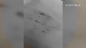 文 按摩師血手1800