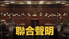 多個小黨、民團及立委聯合聲明反對藍白癱瘓憲法法庭（圖／翻攝自王婉諭臉書）
