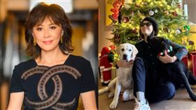 劉嘉玲。（圖／翻攝自IG）