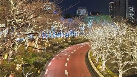 東京「六本木之丘聖誕嘉年華」
（圖／讀者提供）