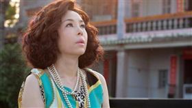 ▲江淑娜（圖／翻攝自微博）