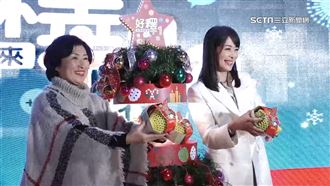 台東縣府攜手台北101　鳳梨釋迦免費送