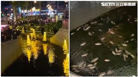 河道,柳川,特色,旅客,民眾,台中市,耶誕節