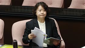 立院審查大法官被提名人劉靜怡人事案（2）立法院全院委員會12日持續審查司法院大法官人事案，大法官被提名人劉靜怡（圖）列席。中央社記者郭日曉攝  113年12月12日