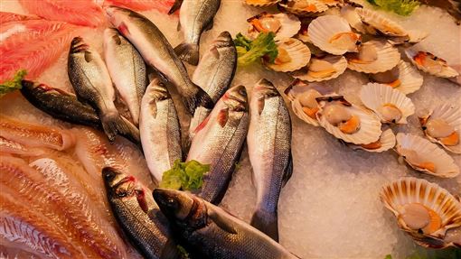 多吃魚變聰明？譚敦慈最推薦「這種魚」