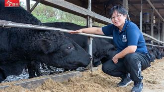 花11年時間！她如何變成國內最大安格斯牛牧場掌門人？