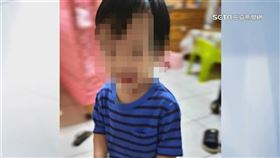 剴剴逝世周年,資料照