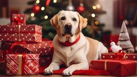 雖然年底聖誕及新年購物潮仍在如火如荼地進行，但世界各國聖誕禮品的購物趨勢不盡相同，有好有壞。以寵物禮品為例，英國銷售量往上發展，但美國卻預期下降。（圖／翻攝自草根）