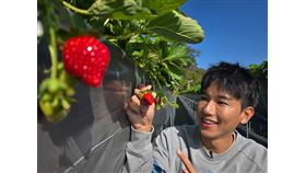 草莓王國的人情味　大湖鄉的在地文化巡禮（業配勿用）