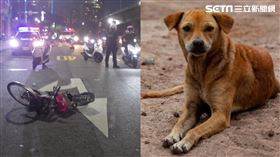 單車騎士為了閃流浪狗被車撞死。（圖／翻攝畫面）