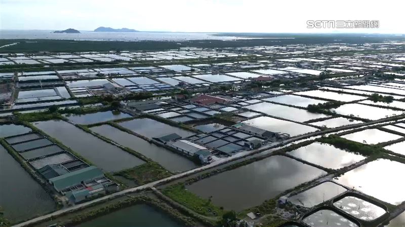 直擊「牡蠣種苗場」　越南蚵量產最大關鍵