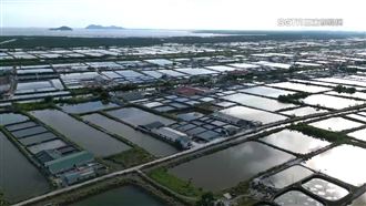直擊「牡蠣種苗場」　越南蚵量產最大關鍵