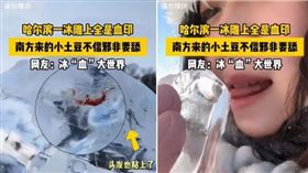 哈爾濱冰雕都是血跡，原因讓人驚呆！竟是妹子們舔到濺血。（翻自抖音）
