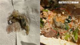 民眾外帶一份羊肉燴飯，卻吃到整隻壁虎屍，嚇壞狂漱口。（圖／翻攝自Threads）