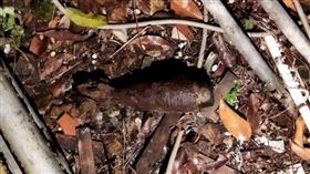 美濃空地驚現未爆彈，軍警聯手1小時內迅速排除危機。（ 圖／翻攝畫面）