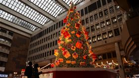 巨型耶誕樹照亮北車大廳（3）耶誕節將至，台鐵公司在台北車站大廳打造將近24公尺高的耶誕樹，燈飾璀璨繽紛，散發濃濃過節氣氛。中央社記者裴禛攝  113年12月16日