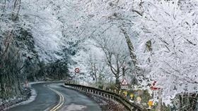 新北市,坪林,北宜公路,下雪,寒流,新店警分局,所長