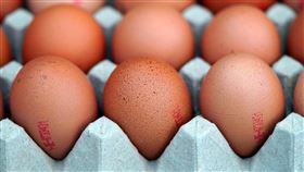 雞蛋(圖/pixabay)