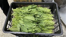 青菜　（圖／台北衛生局提供）