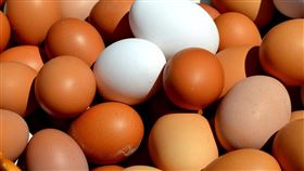 雞蛋,早餐(圖/pixabay)