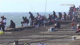 獨家／全台158處釣點　台中港「北堤2818米」容納人數之冠