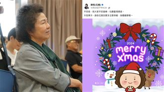 陳菊突腦阻塞！貼文「定格平安夜」被灌爆
