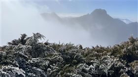 玉山北峰今日出現霧淞。（圖／氣象署提供）